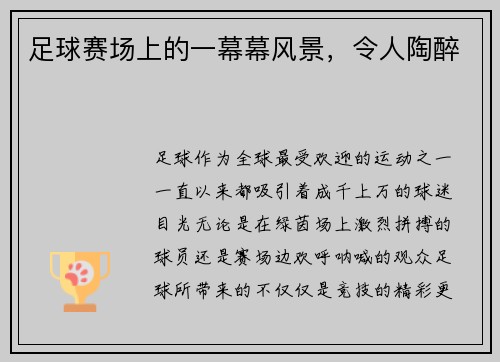 足球赛场上的一幕幕风景，令人陶醉