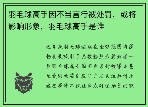 羽毛球高手因不当言行被处罚，或将影响形象，羽毛球高手是谁